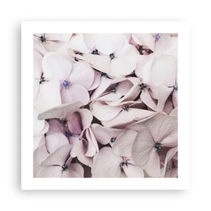 Poster - In einer Blumenflut - 50x50 cm