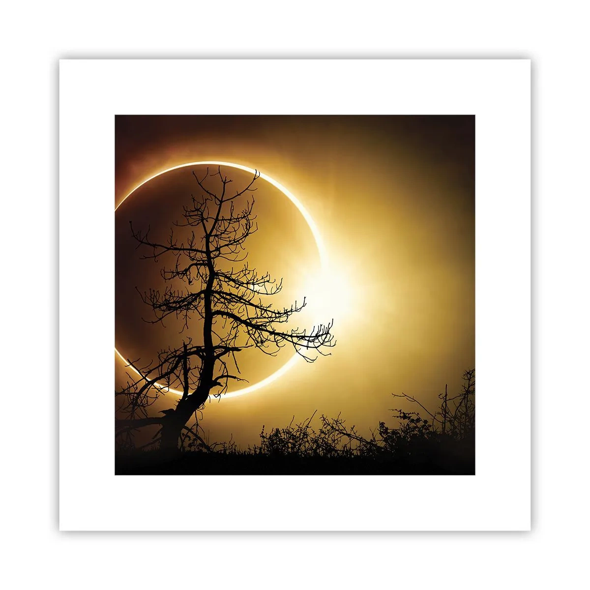 Poster - Totale Finsternis - 30x30 cm