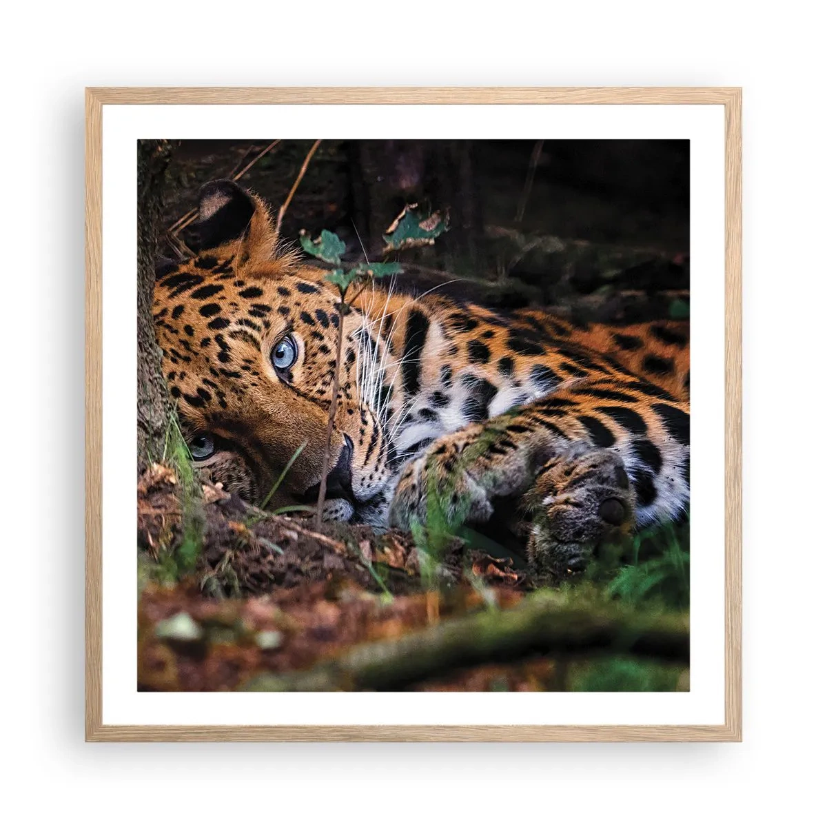 Poster in einem Rahmen aus heller Eiche - Vertrau mir - 60x60 cm