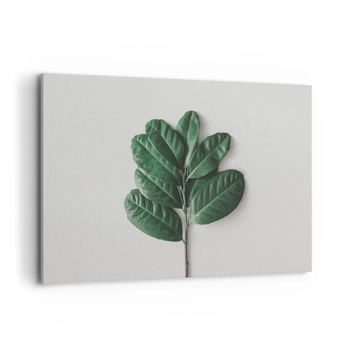 Bild auf Leinwand - Leinwandbild - Ein Zweig grüner Blätter auf hellem Hintergrund - 120x80cm - Eine Zeichnung purer Natur - Moderne Wanddekoration für Wohnzimmer und Schlafzimmer ARTTOR