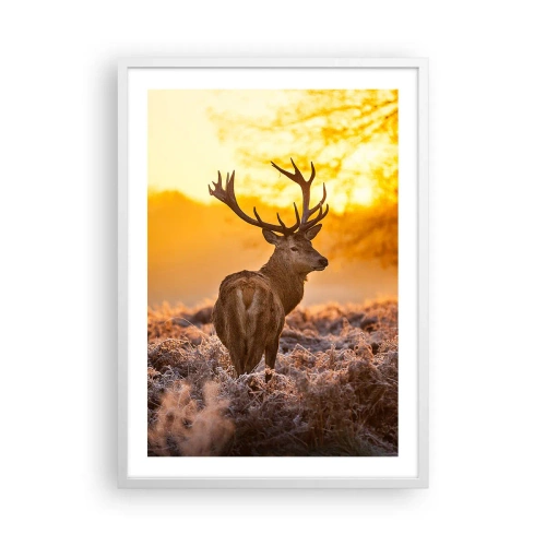 Poster in einem weißen Rahmen - König des Herbstwaldes - 50x70 cm