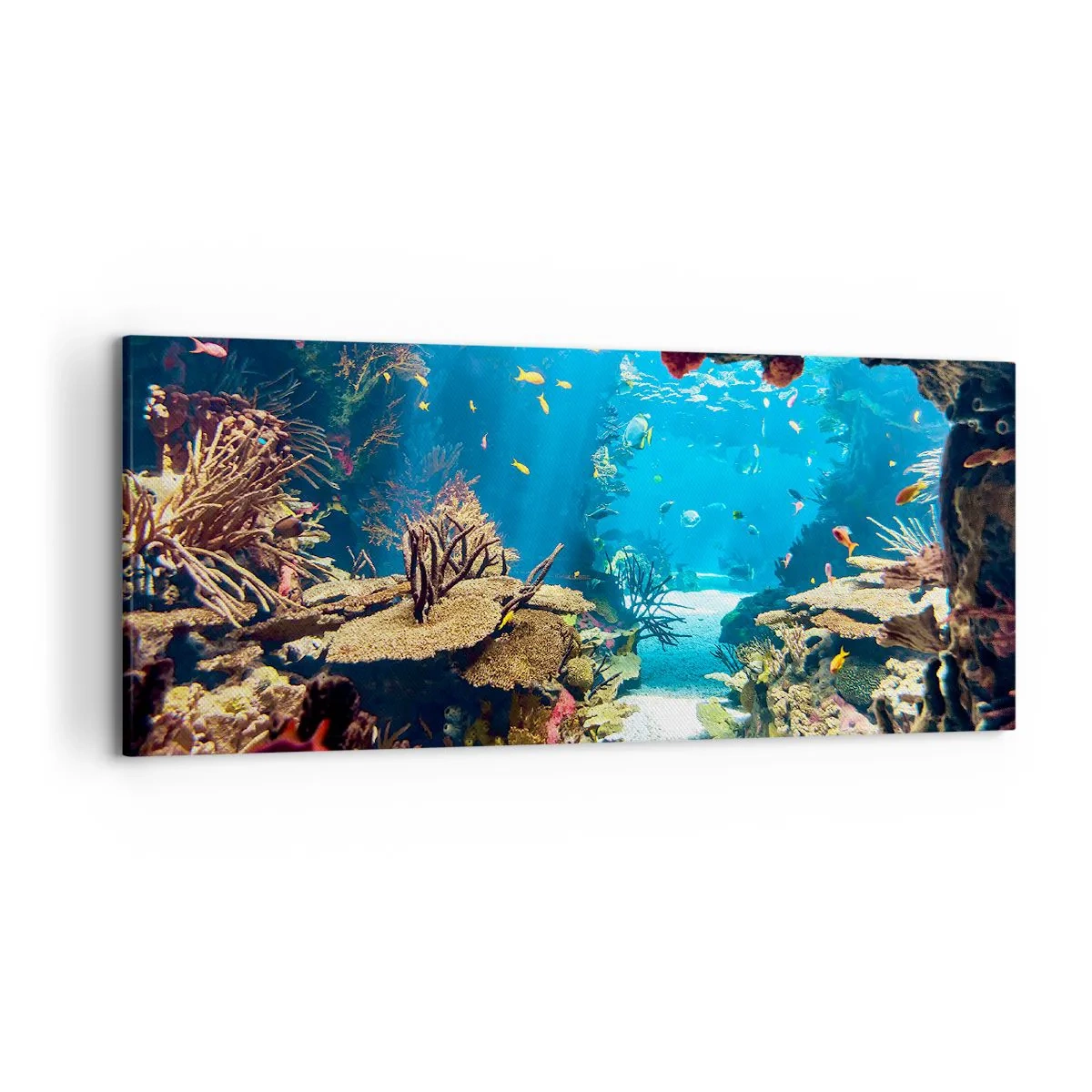 Bild auf Leinwand - Leinwandbild - Unterwasserwelt mit Korallenriff und Fischen - 120x50cm - Du hast es noch nicht einmal geträumt - Moderne Wanddekoration für Wohnzimmer und Schlafzimmer ARTTOR