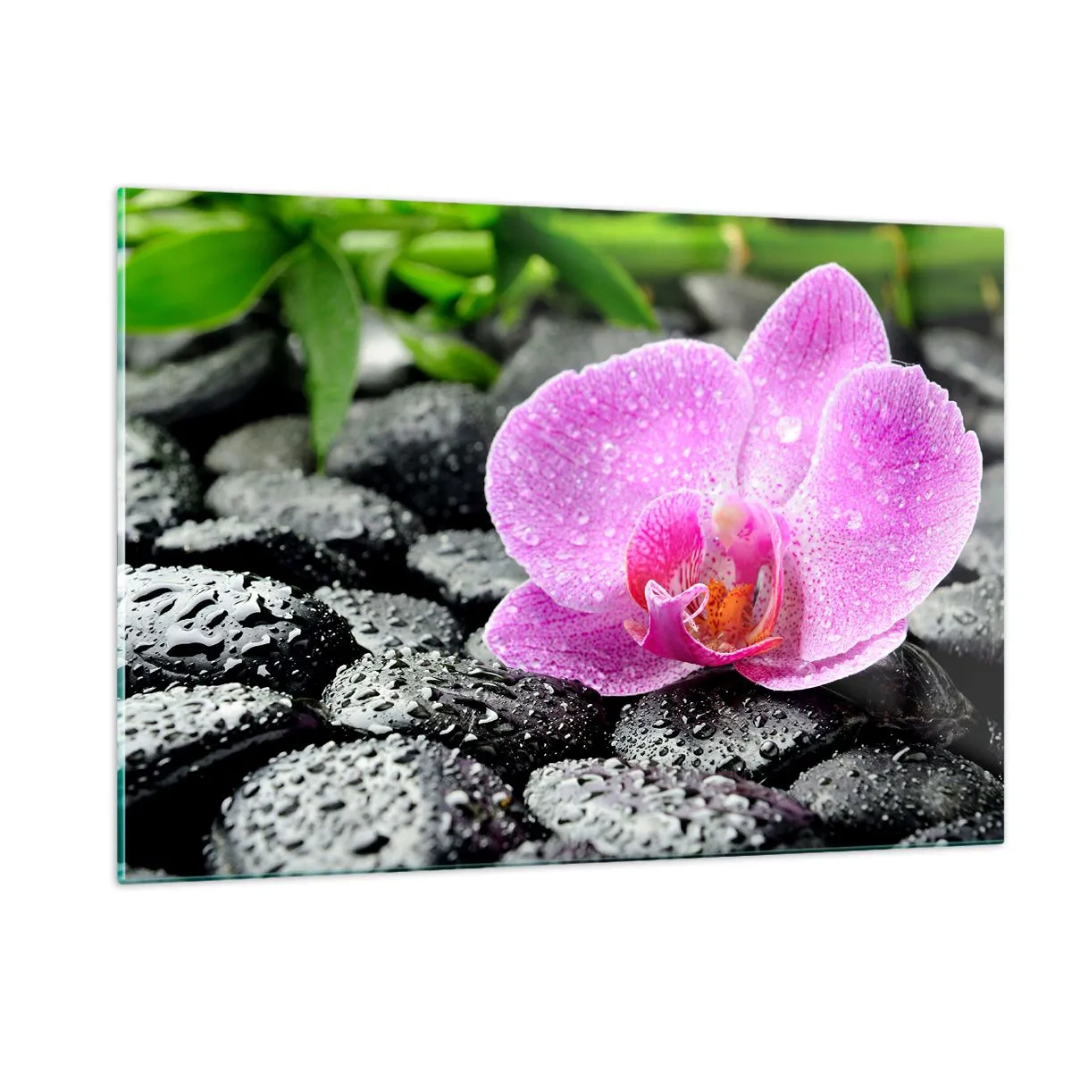 Glasbild - Bild auf glas - Rosa Orchideenblüte auf nassen schwarzen Steinen - 120x80cm - Wie ein offenes Herz - Moderne Wanddekoration für Wohnzimmer und Schlafzimmer ARTTOR