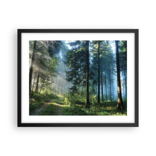 Poster in einem schwarzem Rahmen - Strahlend am Morgen - 50x40 cm