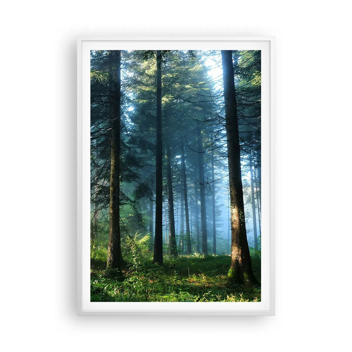Poster in einem weißen Rahmen - Strahlend am Morgen - 70x100 cm