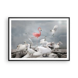 Poster in einem schwarzem Rahmen - Ein rosa Flamingo zwischen weißen Schwänen vor der Kulisse eines Sees - 100x70cm - Wie kam ich hier hin? - Moderne Wanddekoration für Wohnzimmer und Schlafzimmer ARTTOR