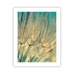 Poster - In Erwartung des Windes - 40x50 cm