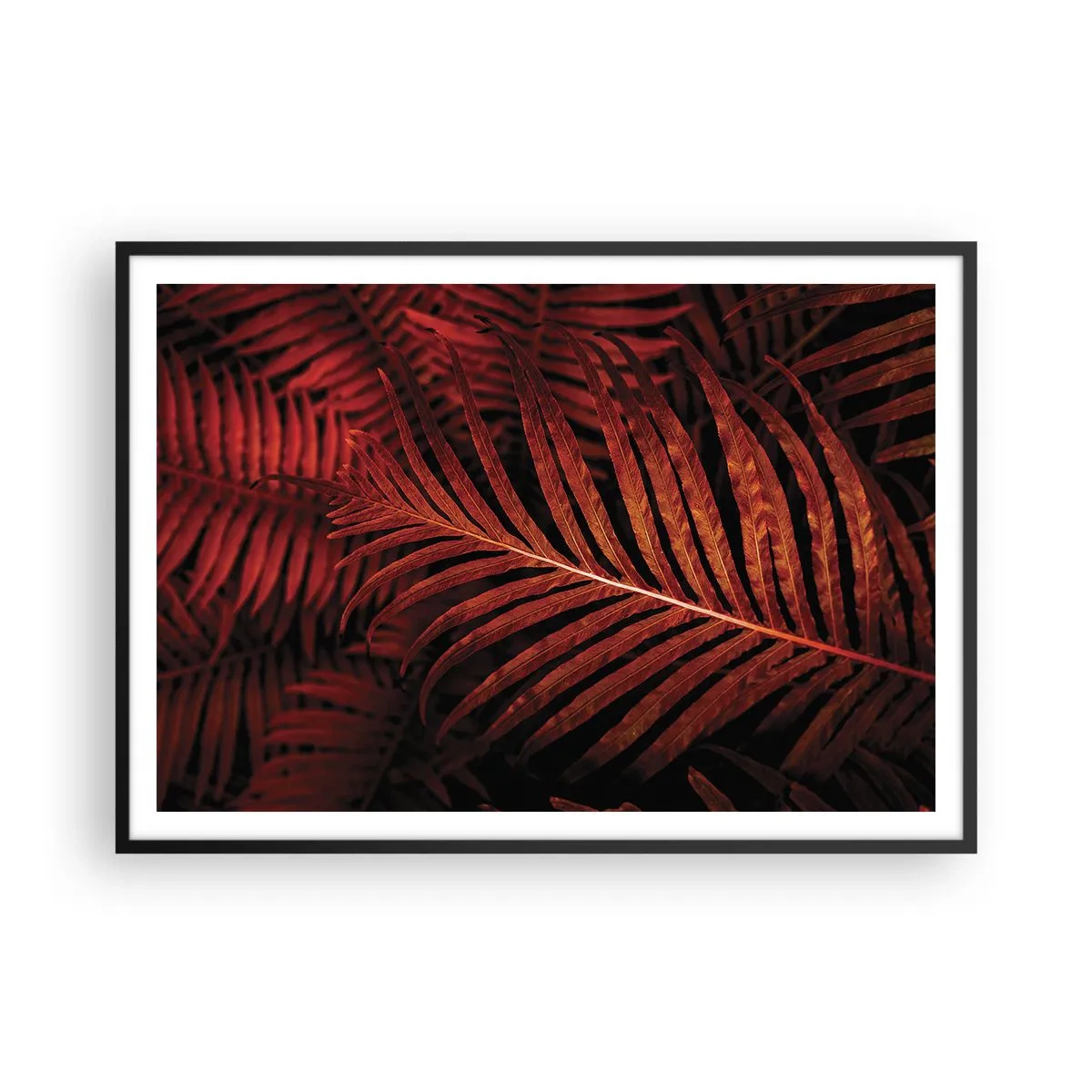 Poster in einem schwarzem Rahmen - Nahaufnahme von roten tropischen Blättern - 100x70cm - Die Hitze des Lebens - Moderne Wanddekoration für Wohnzimmer und Schlafzimmer ARTTOR