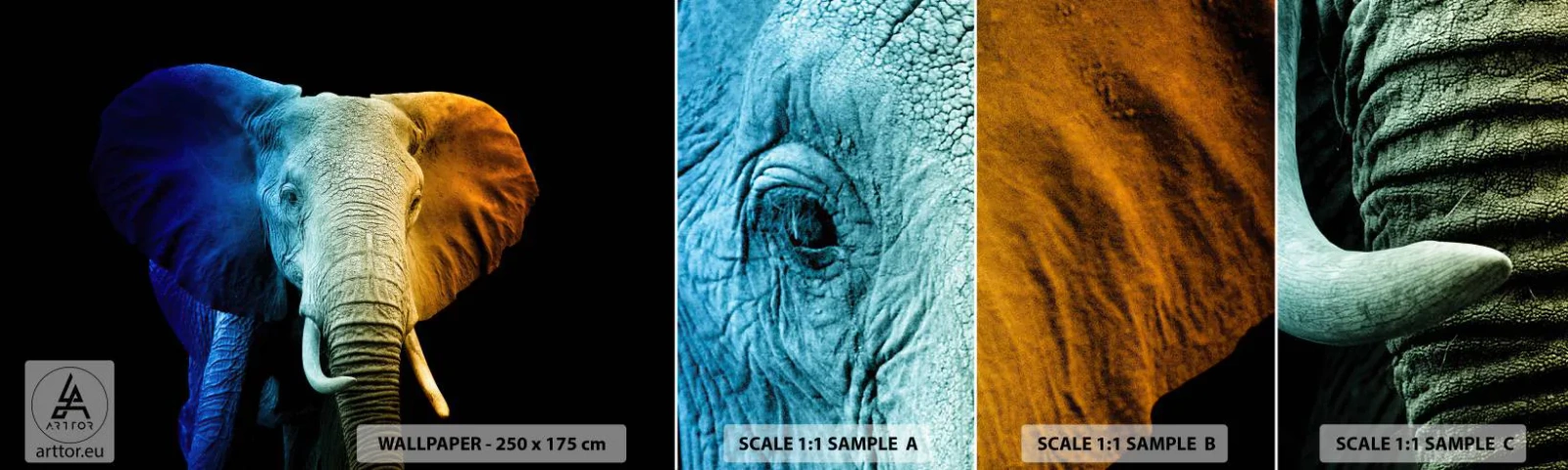 Fototapetenmuster Standard Eco - Exzentrisch, kein Verrückter - Abstraktion, Elefant, Tiere - 100x30 cm