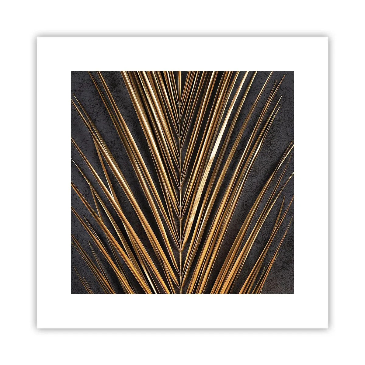 Poster - Das Gold der Tropen - 30x30 cm