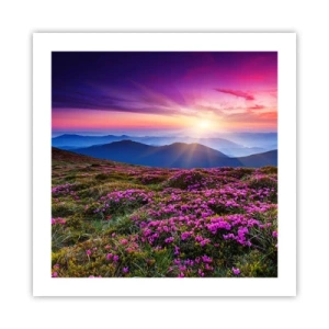 Poster - Kräuter dufteten nach frischen Trauben von den Feldern - 50x50 cm