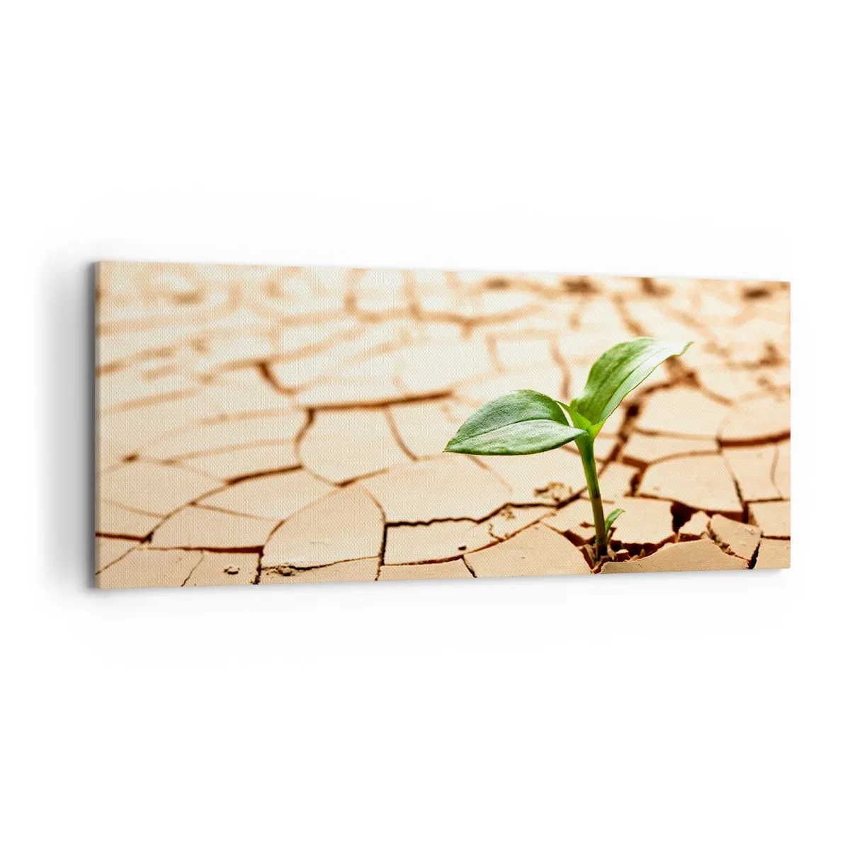 Bild auf Leinwand - Leinwandbild - Eine grüne Pflanze wächst aus trockener, rissiger Erde - 120x50cm - Die unbezähmbare Kraft des Lebens - Moderne Wanddekoration für Wohnzimmer und Schlafzimmer ARTTOR