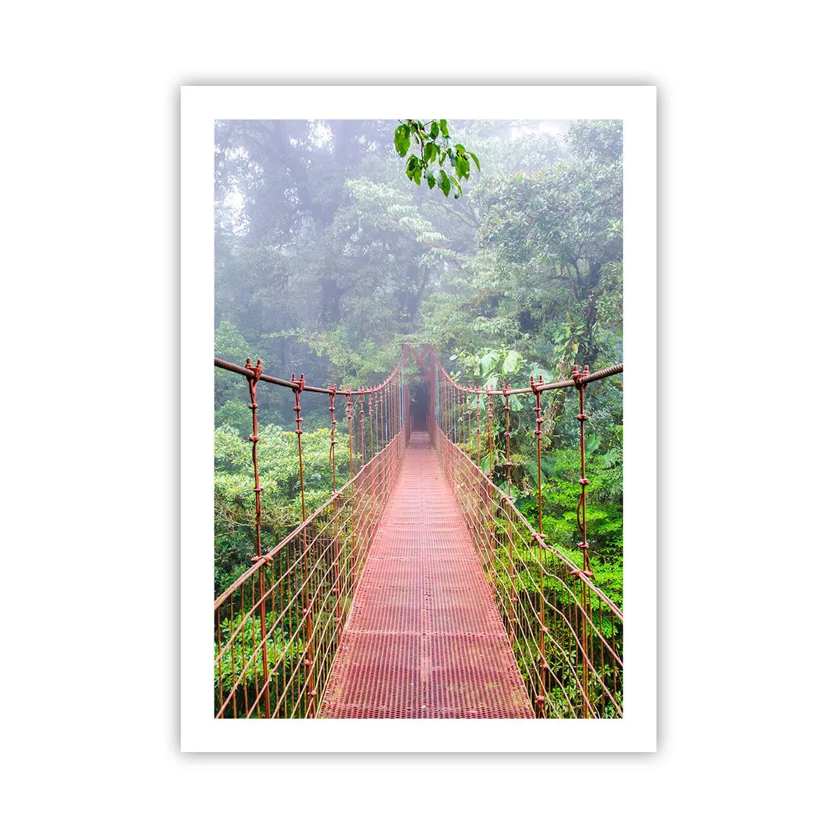 Poster - Eine Hängebrücke in einem tropischen Wald, eingehüllt in Nebel - 50x70cm - Über den Kronen aufgehängt - Moderne Wanddekoration für Wohnzimmer und Schlafzimmer ARTTOR