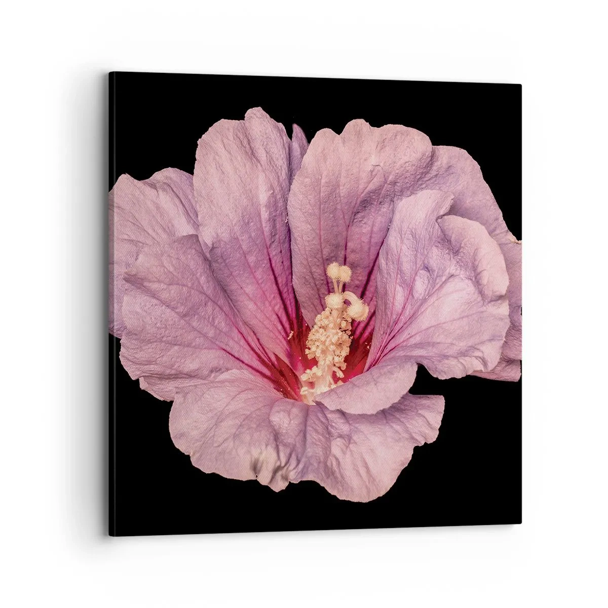 Bild auf Leinwand - Leinwandbild - Direkt ins Herz - 70x70 cm