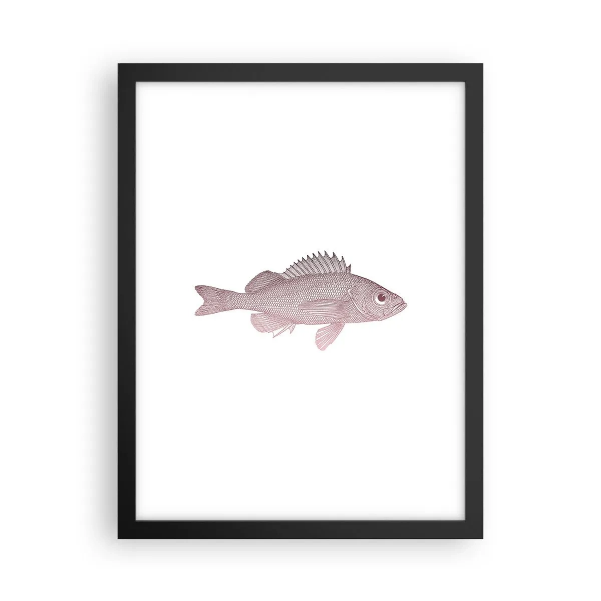 Poster in einem schwarzem Rahmen - Großäugiger Fisch - 30x40 cm