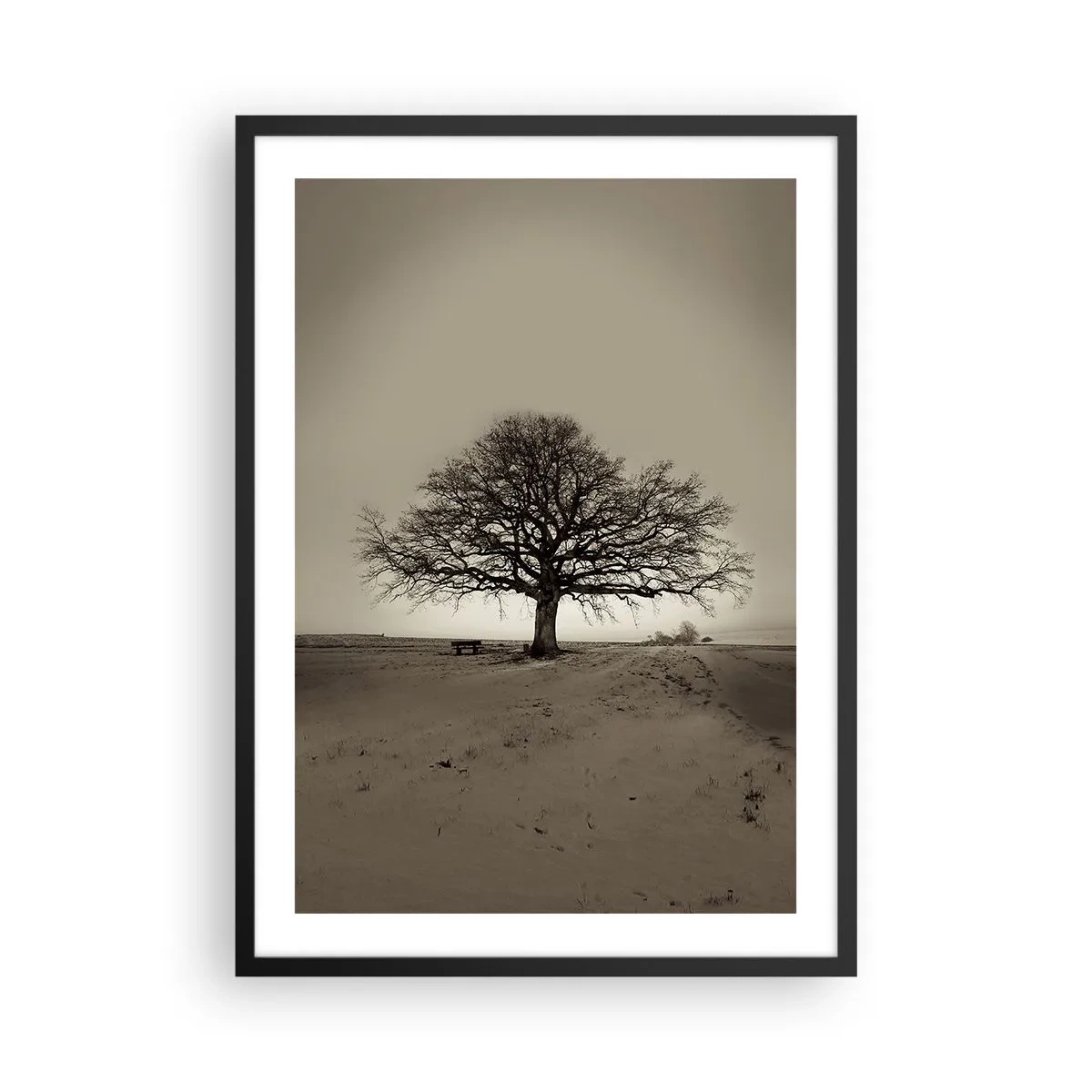Poster in einem schwarzem Rahmen - Ein einsamer Baum in einer leeren Sepia-Landschaft - 50x70cm - Von hier zu Ewigkeit - Moderne Wanddekoration für Wohnzimmer und Schlafzimmer ARTTOR