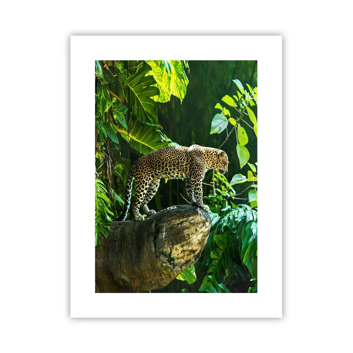 Poster - Auf die Jagd? - 30x40 cm