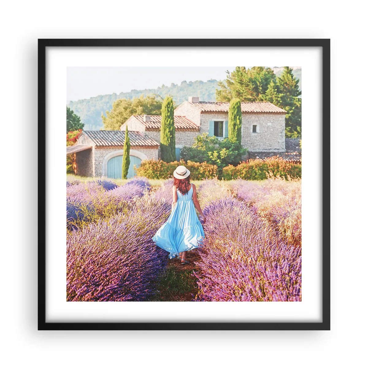 Poster in einem schwarzem Rahmen - Lavendel Mädchen - 50x50 cm