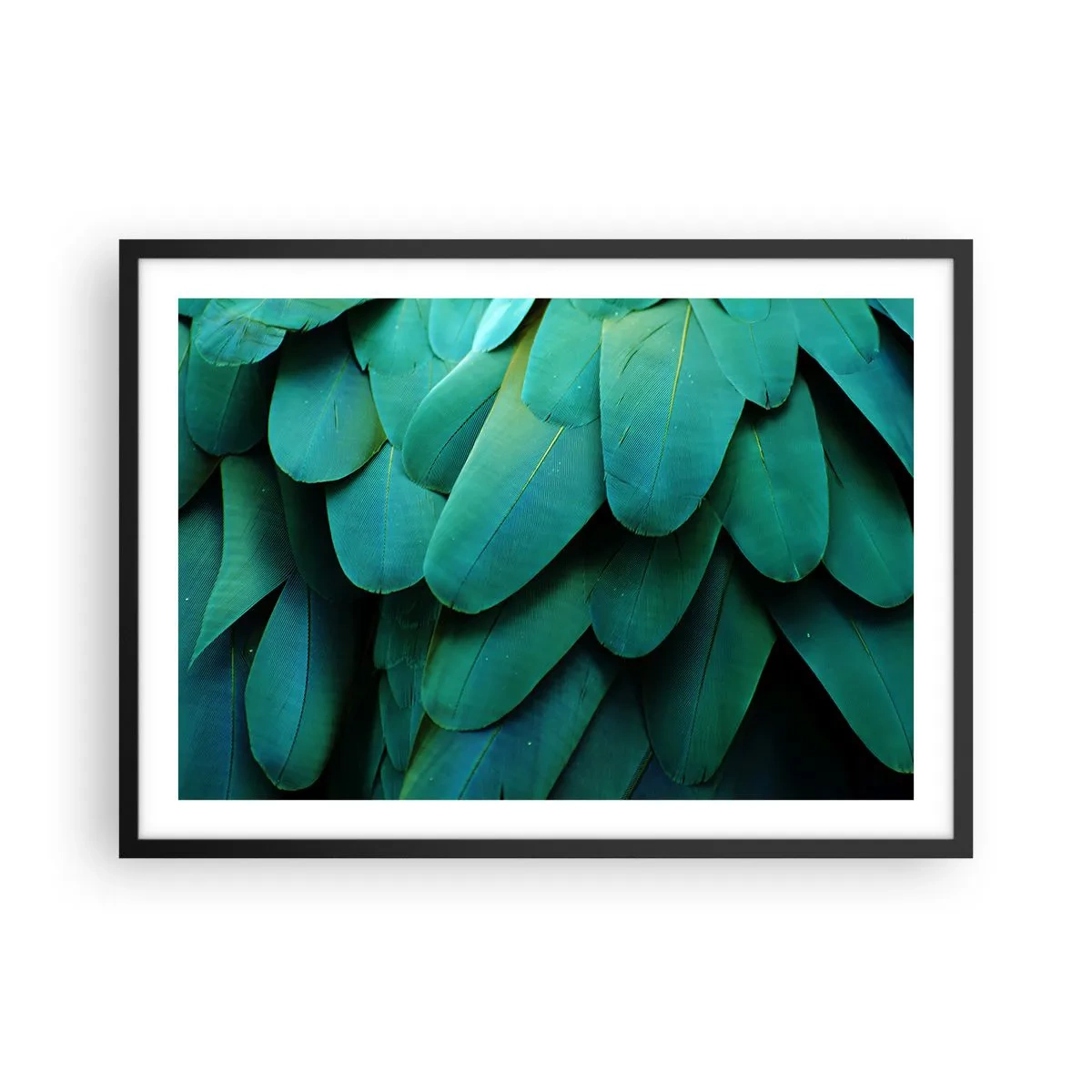 Poster in einem schwarzem Rahmen - Federdetails in Grüntönen - 70x50cm - Papageienartige Präzision - Moderne Wanddekoration für Wohnzimmer und Schlafzimmer ARTTOR