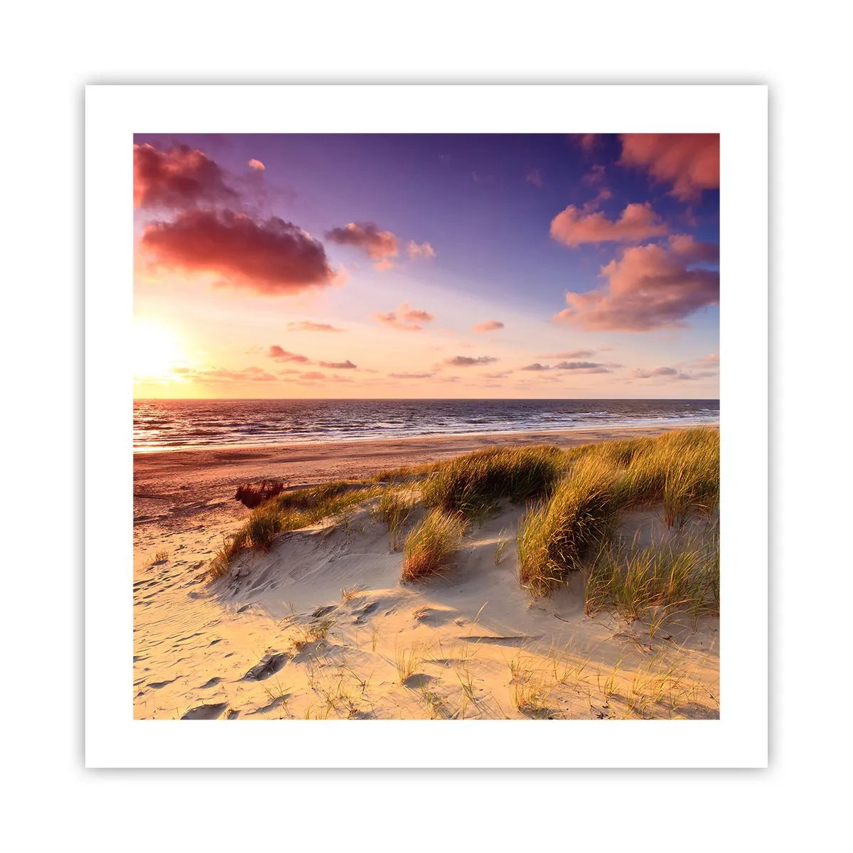 Poster - Die Luft riecht schon im Sommer - 50x50 cm
