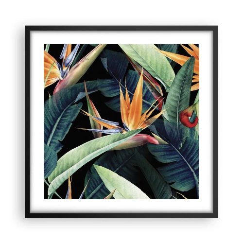 Poster in einem schwarzem Rahmen - Flammende Blumen der Tropen - 50x50 cm
