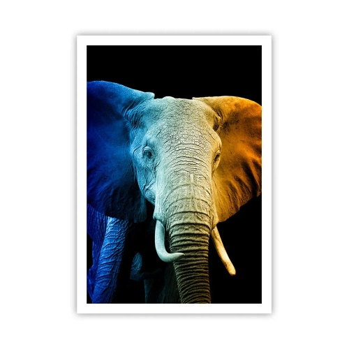 Poster - Exzentrisch, kein Verrückter - 70x100 cm