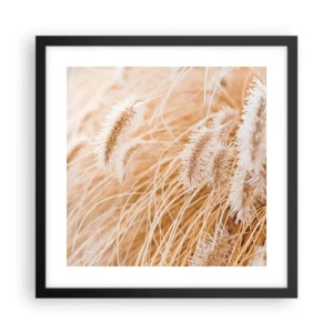 Poster in einem schwarzem Rahmen - Das goldene Rauschen des Grases - 40x40 cm