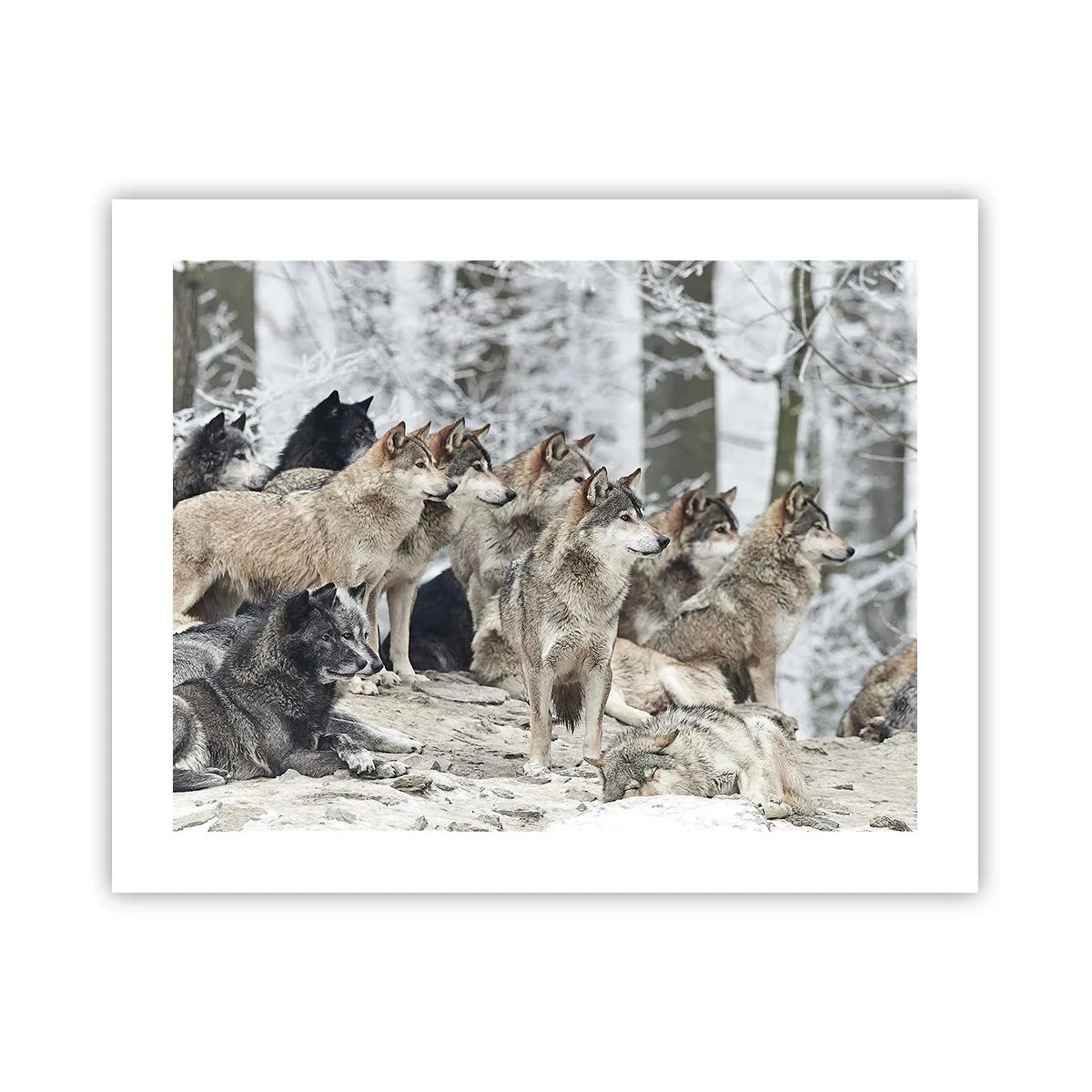 Poster - Familie und Freunde - 50x40 cm