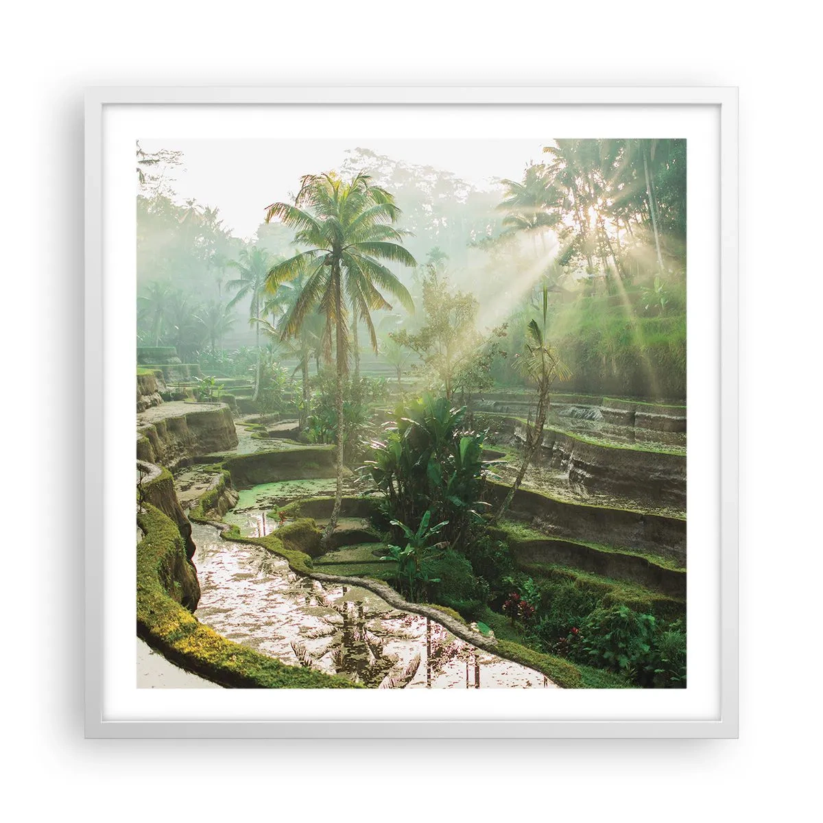 Poster in einem weißen Rahmen - In der Sonne aufwachsen - 60x60 cm