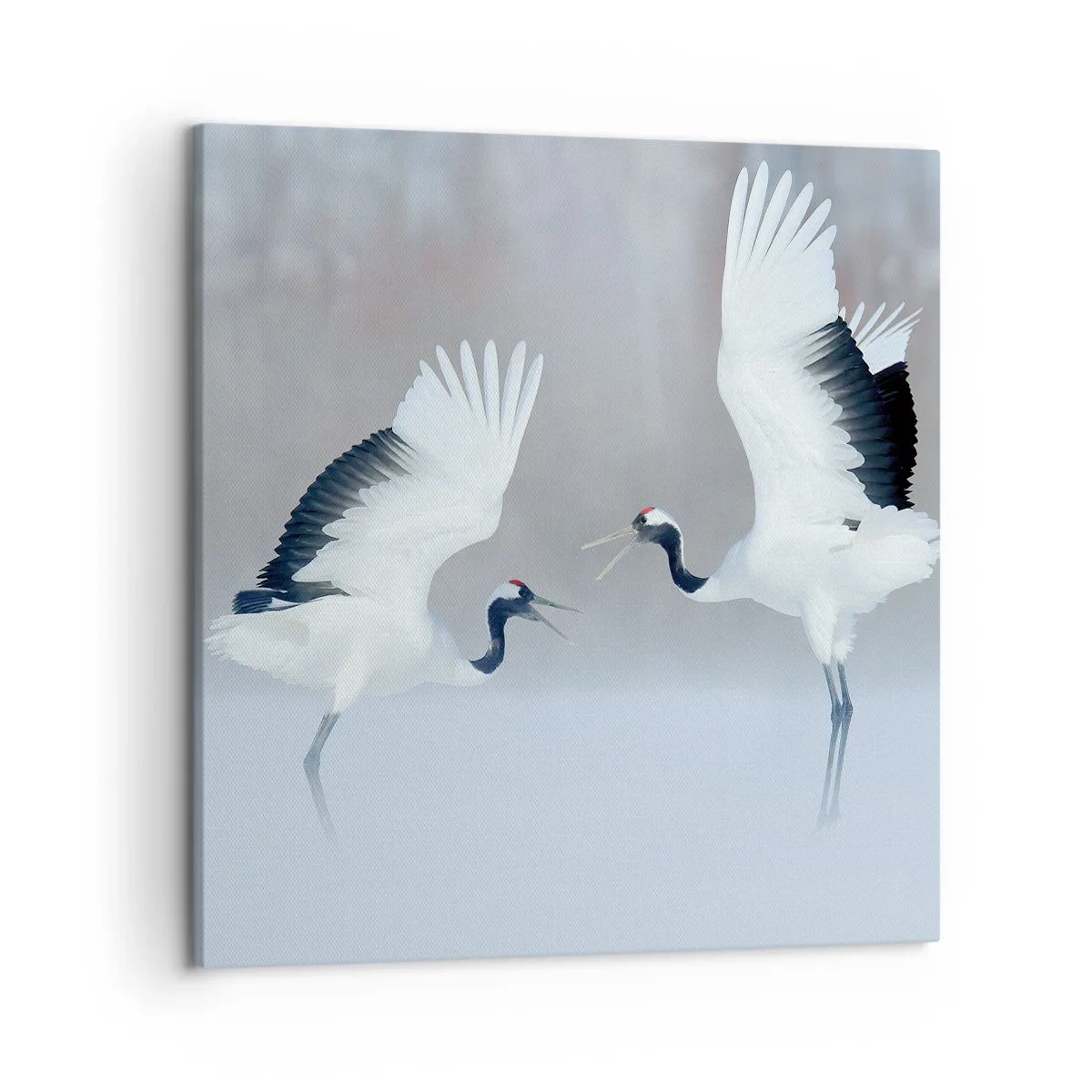 Bild auf Leinwand - Leinwandbild - Tanz im Nebel - 50x50 cm