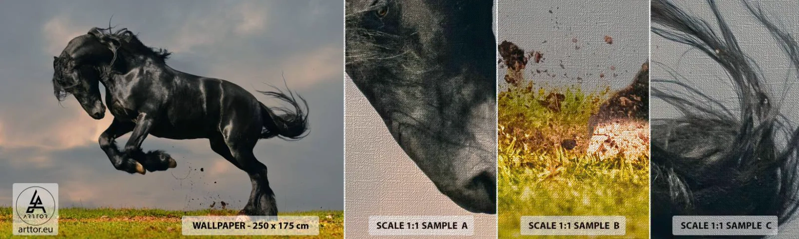 Fototapeten Muster Premium Canvas - Schön und frei - Tiere, Pferd, Landschaft - 100x30 cm