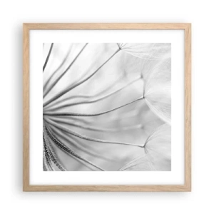 Poster in einem Rahmen aus heller Eiche - Löwenzahn, Drachen - 40x40 cm