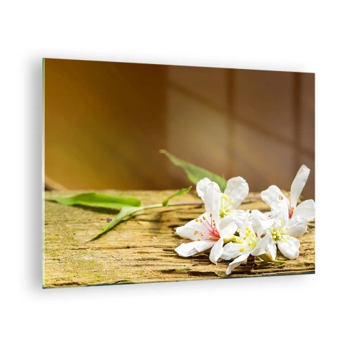 Glasbild - Bild auf glas - Weiße Blumen auf einem hölzernen Hintergrund in warmem Licht - 70x50cm - Ein unschuldiges Versprechen - Moderne Wanddekoration für Wohnzimmer und Schlafzimmer ARTTOR