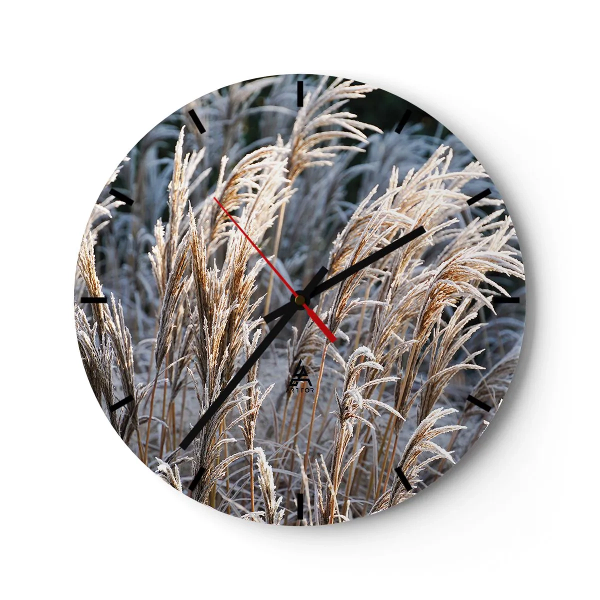 Wanduhr - Glasuhr - Goldene Gräser mit Frost bedeckt in einer Winterlandschaft - 30x30cm - Gekleidet mit Frost - Moderne Wanddekoration für Wohnzimmer, Küche und Schlafzimmer ARTTOR