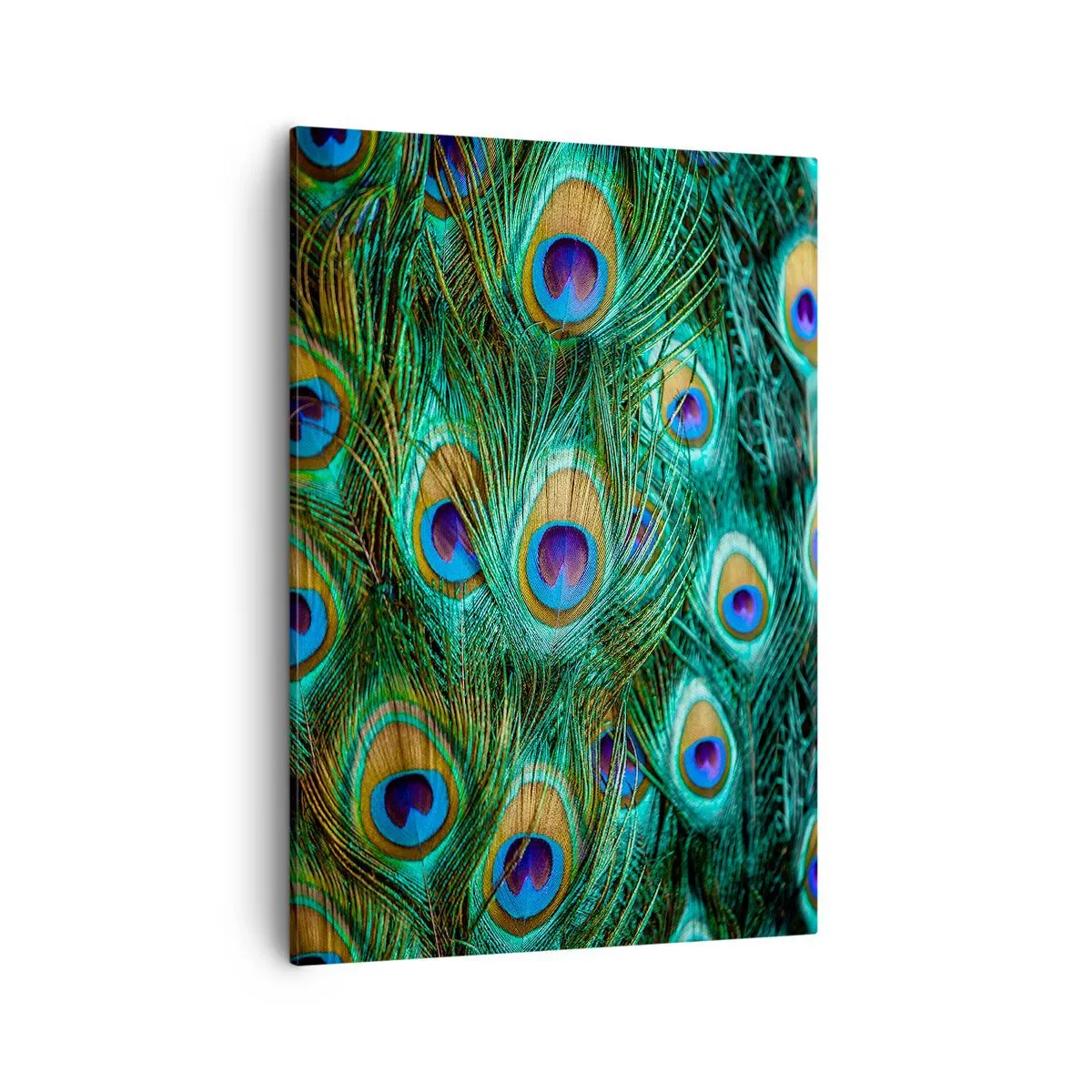 Bild auf Leinwand - Leinwandbild - Details von Pfauenfedern in satten Farben - 50x70cm - Ein Blick mit Pfauenaugen - Moderne Wanddekoration für Wohnzimmer und Schlafzimmer ARTTOR