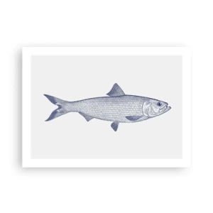 Poster - Grüße aus den nördlichen Meeren - 70x50 cm