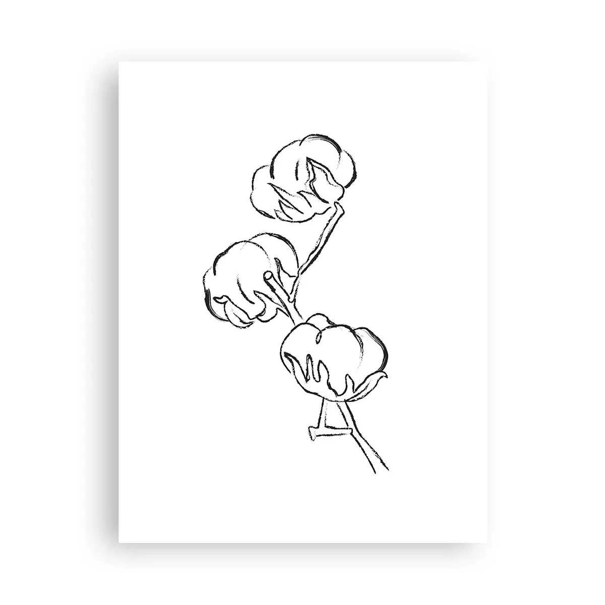 Poster - Baumwolldaunen - 30x40 cm