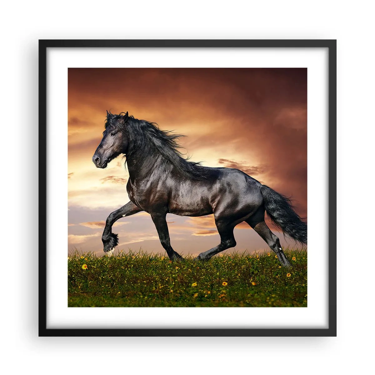 Poster in einem schwarzem Rahmen - Schwarzer Prinz - 50x50 cm