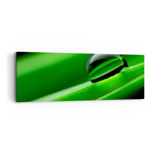 Bild auf Leinwand - Leinwandbild - Leben hautnah - 90x30 cm