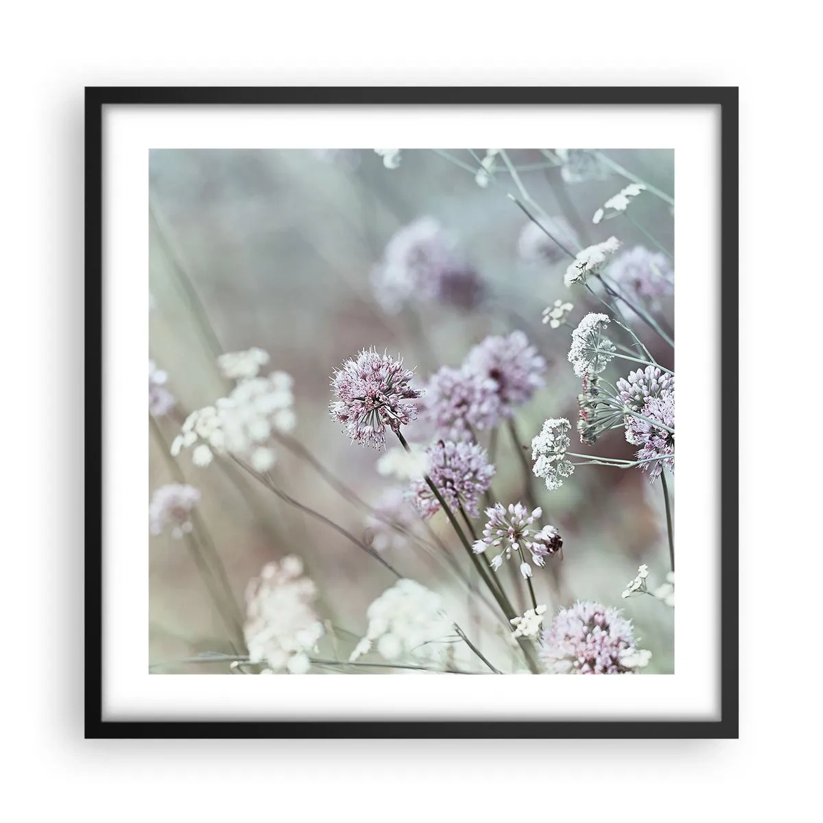 Poster in einem schwarzem Rahmen - Süße filigrane Kräuter - 50x50 cm