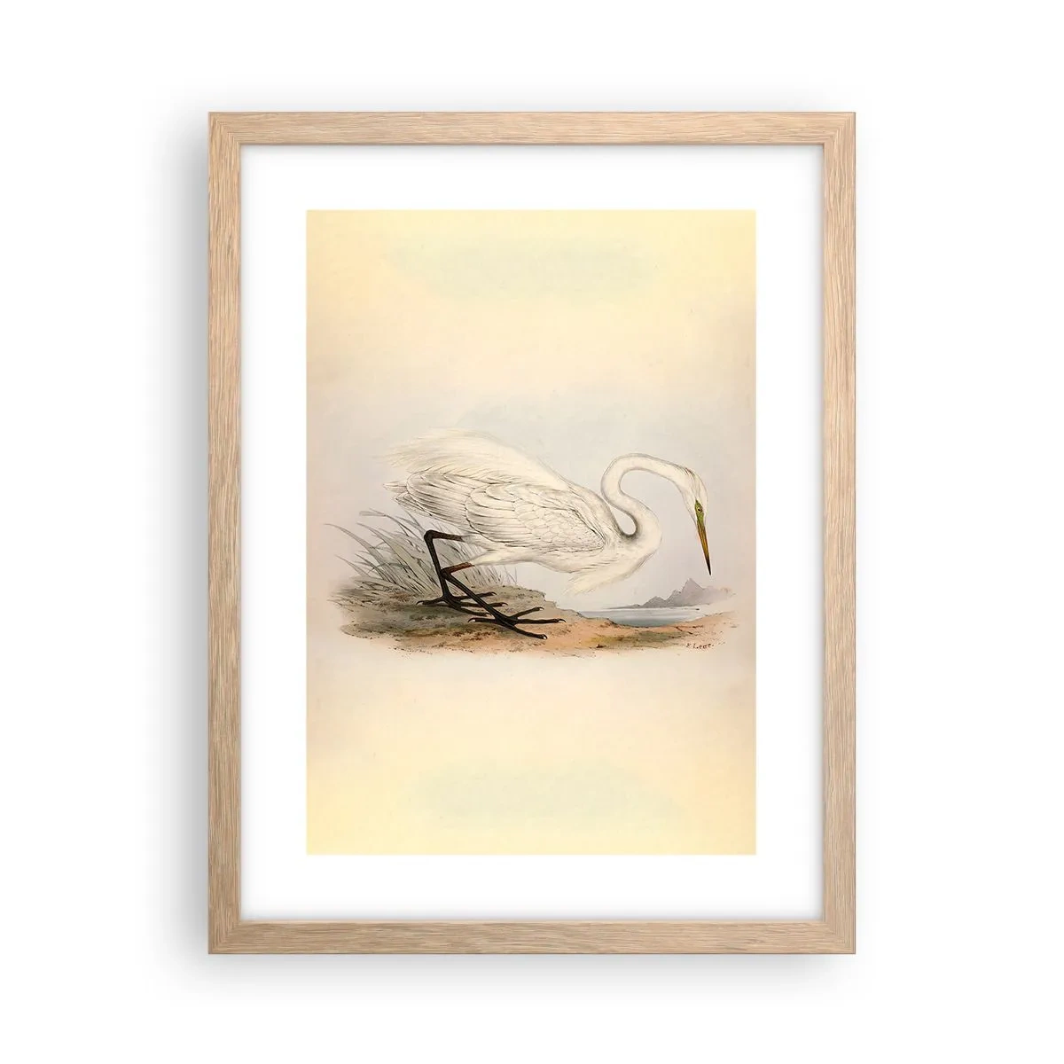 Poster in einem Rahmen aus heller Eiche - Dame auf den Binsen - 30x40 cm