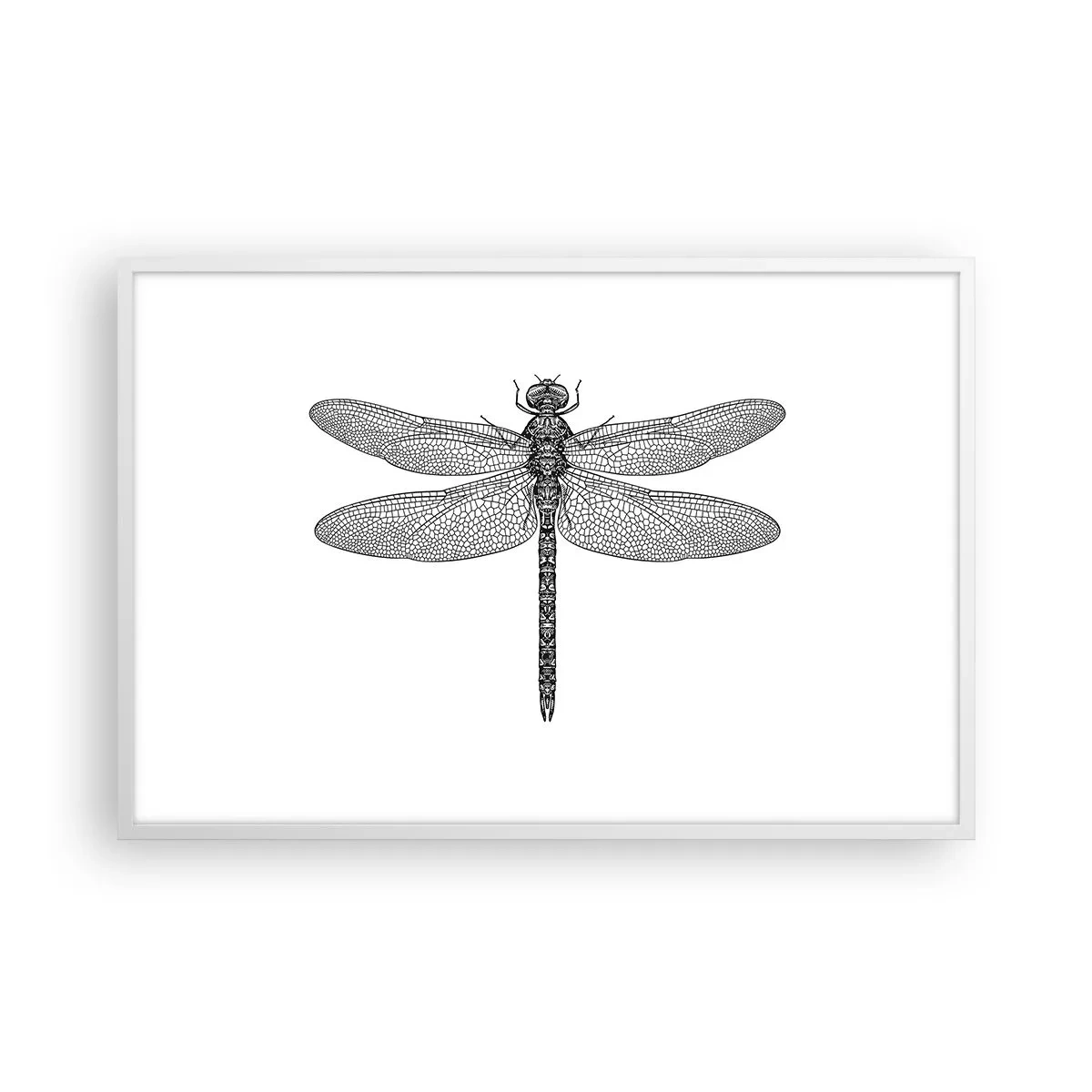 Poster in einem weißen Rahmen - Präzision der Natur - 91x61 cm