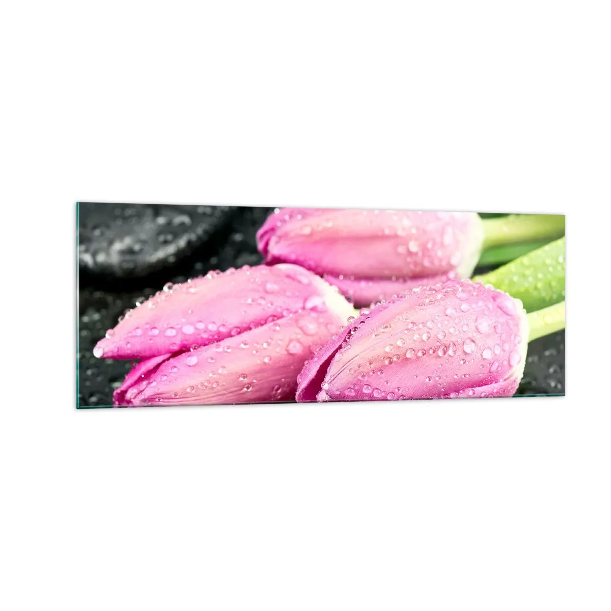 Glasbild - Bild auf glas - Drei rosa Tulpen mit Wassertropfen auf schwarzem Hintergrund - 140x50cm - Liladrei auf schwarzem Stein - Moderne Wanddekoration für Wohnzimmer und Schlafzimmer ARTTOR