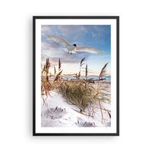 Poster in einem schwarzem Rahmen - Ein Vogel im Flug über die Dünen und das Meer bei Sonnenuntergang - 50x70cm - Wind vom Meer - Moderne Wanddekoration für Wohnzimmer und Schlafzimmer ARTTOR