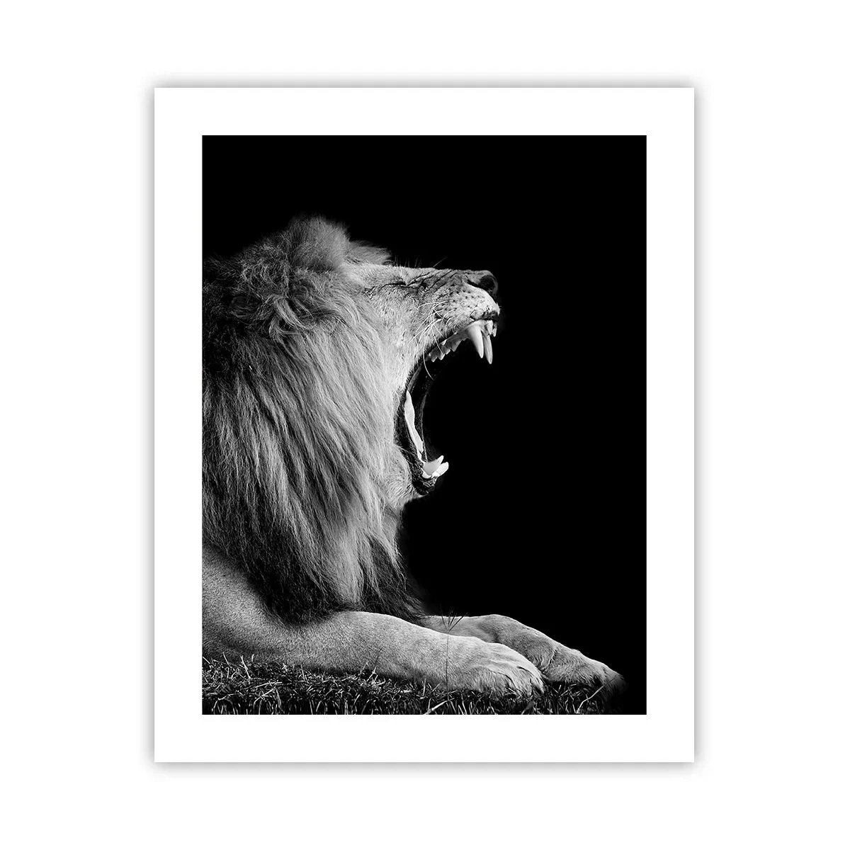 Poster - Ohne Zweifel - 40x50 cm