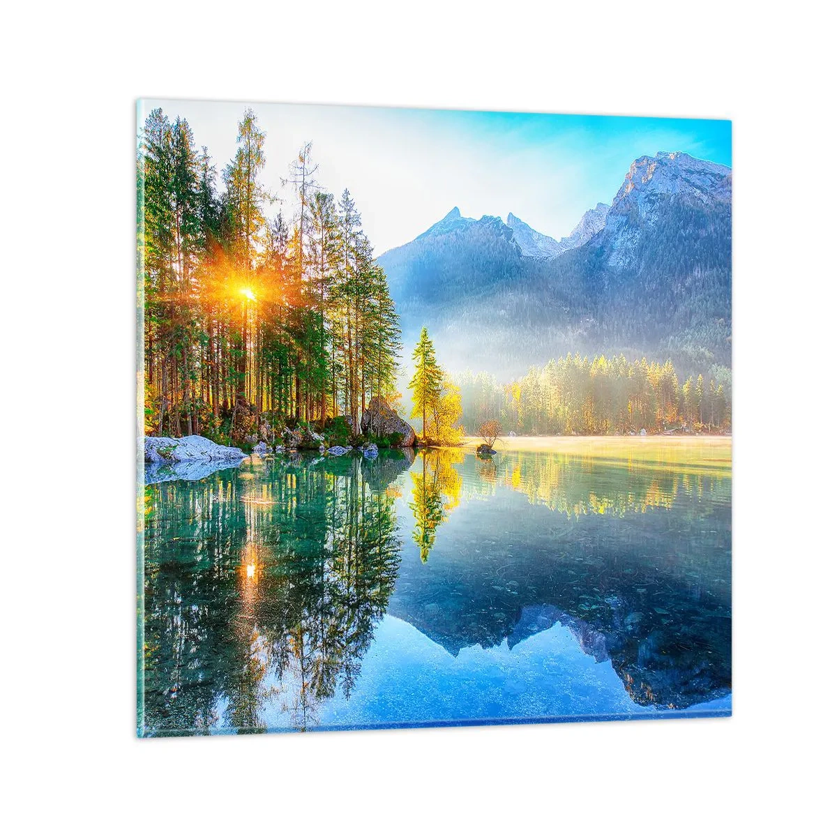 Glasbild - Bild auf glas - Majestät und Süße - 40x40 cm