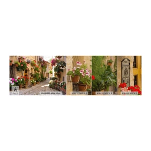 Fototapeten Muster Premium Canvas - In der Flut Blumen - Stadt, Italien, Schöne Straßen - 100x30 cm