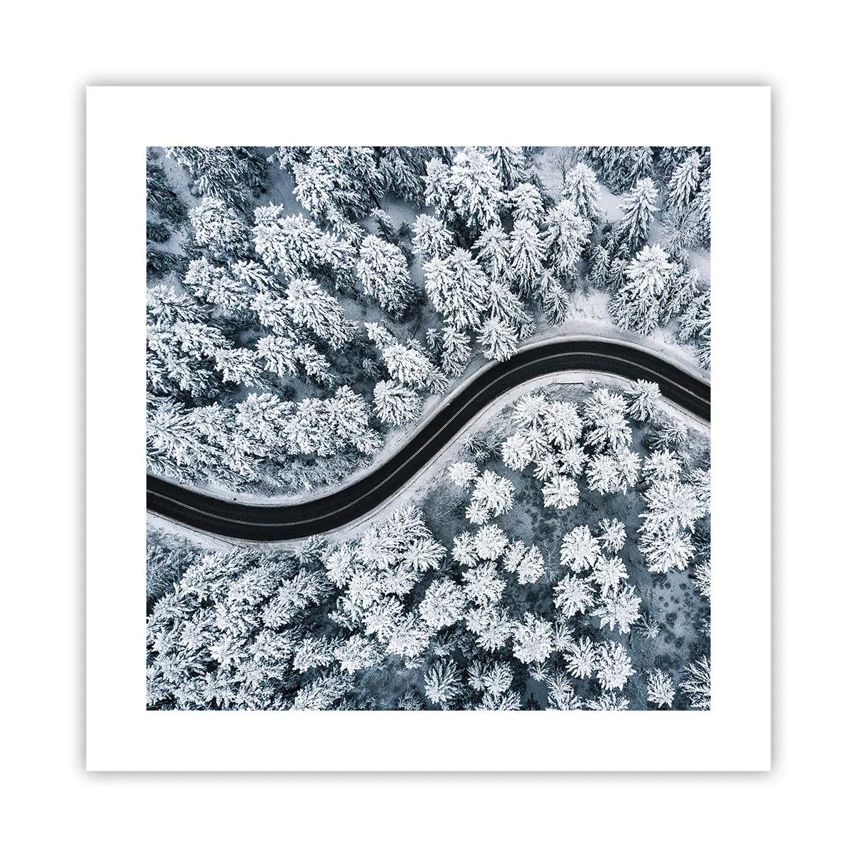 Poster - Durch den Winterwald - 40x40 cm