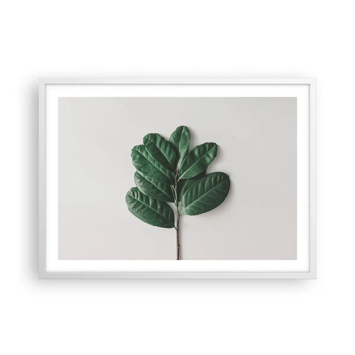 Poster in einem weißen Rahmen - Eine Zeichnung purer Natur - 70x50 cm