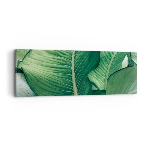 Bild auf Leinwand - Leinwandbild - Intensiv grünes Leben - 90x30 cm